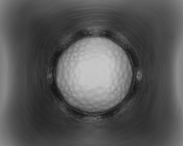 X0000083590771200703021844
