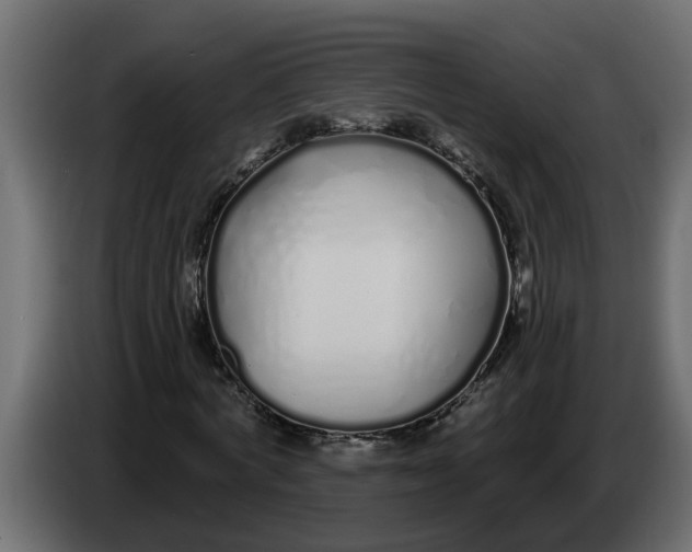 X0000083590772200703021844