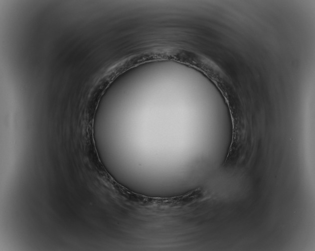 X0000083590773200703021844