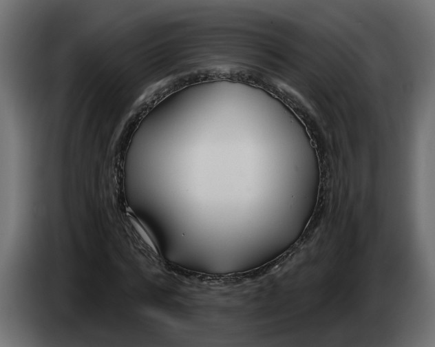 X0000083590776200703021844