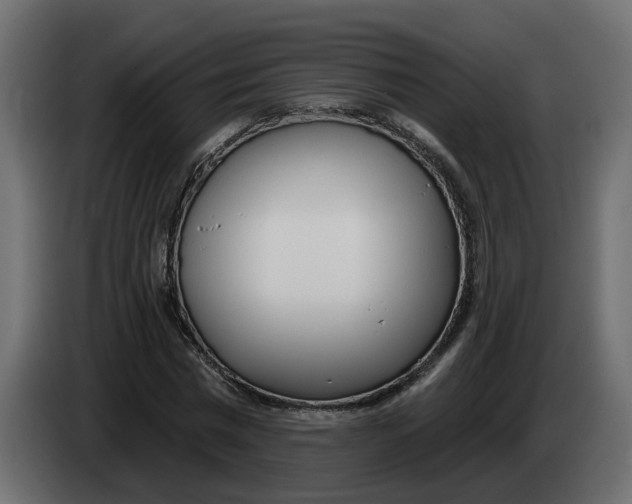 X0000083590777200703021844