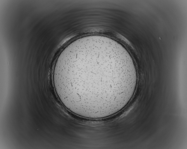 X0000083590778200703021844