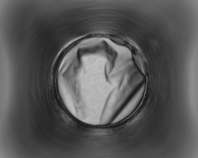 X0000083590779200703021844