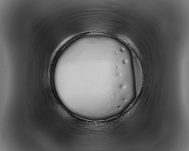 X0000083590780200703021844