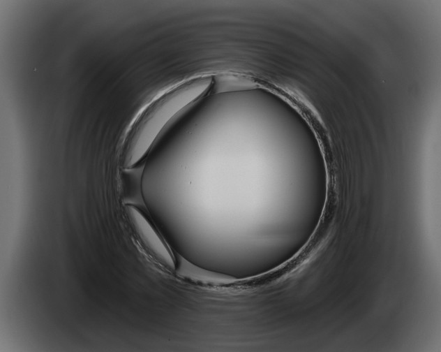 X0000083590781200703021844