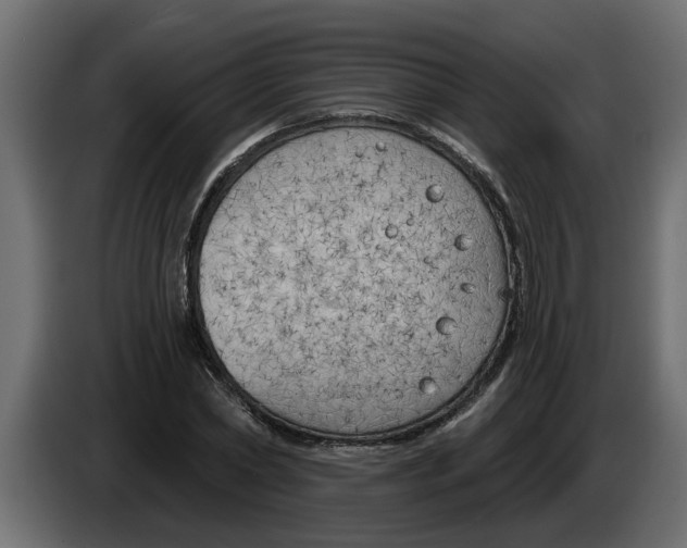 X0000083590782200703021844