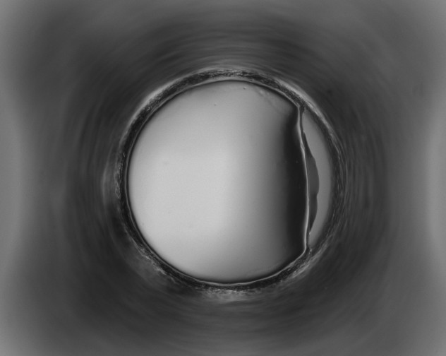 X0000083590783200703021844