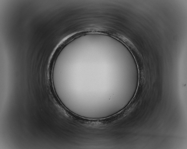 X0000083590784200703021844