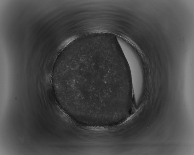 X0000083590785200703021844