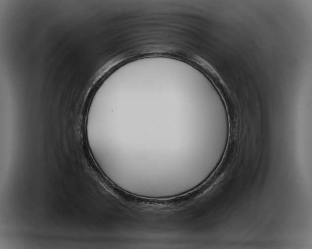 X0000083590786200703021844