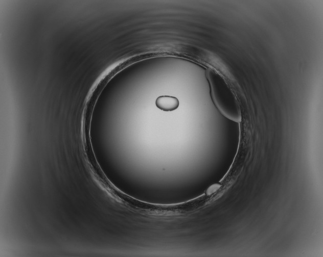 X0000083590788200703021844