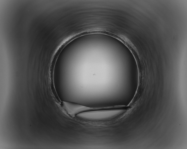 X0000083590789200703021844