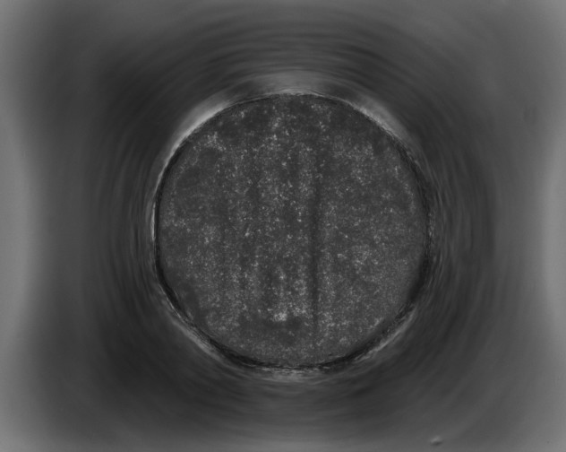 X0000083590790200703021844