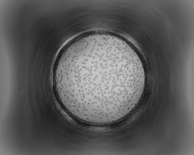 X0000083590791200703021844