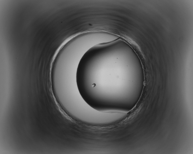 X0000083590792200703021844