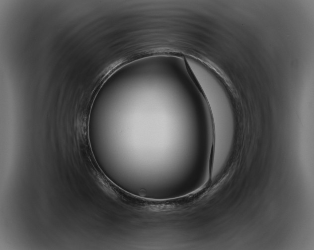 X0000083590793200703021843