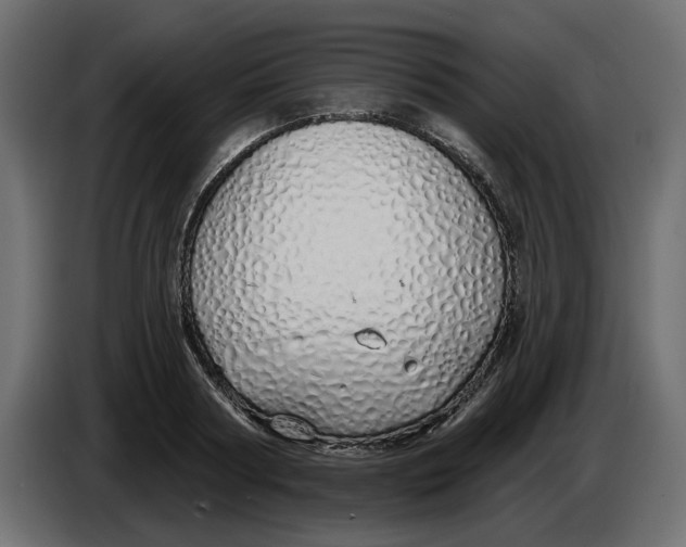 X0000083590794200703021843