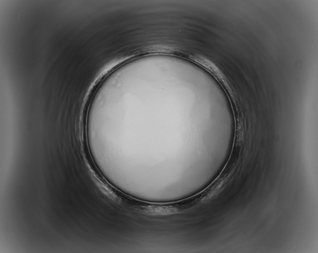 X0000083590795200703021843