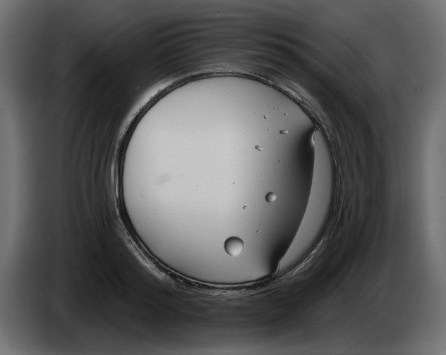 X0000083590796200703021843
