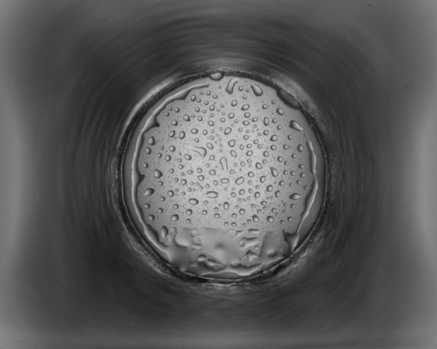 X0000083590798200703021843