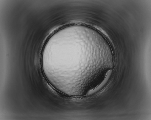 X0000083590799200703021843