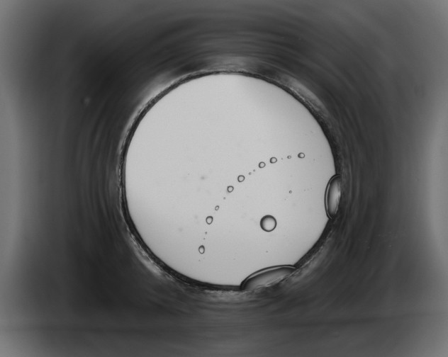 X0000083590800200703021843