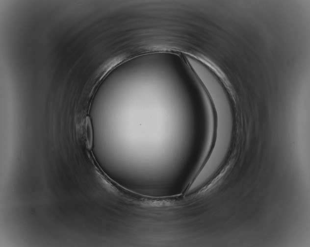 X0000083590801200703021843