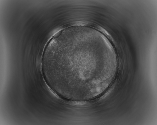 X0000083590802200703021843