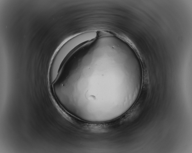 X0000083590803200703021843