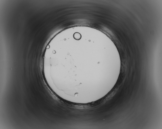 X0000083590804200703021843