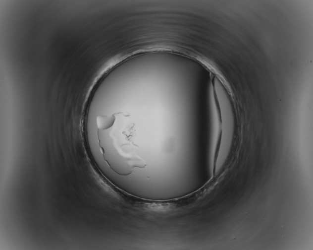 X0000083590805200703021843