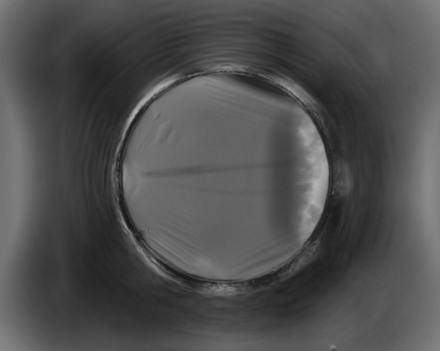 X0000083590806200703021843