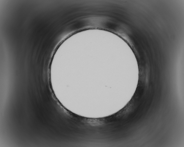 X0000083590807200703021843
