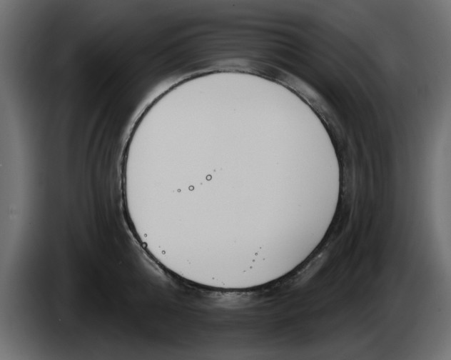X0000083590808200703021843