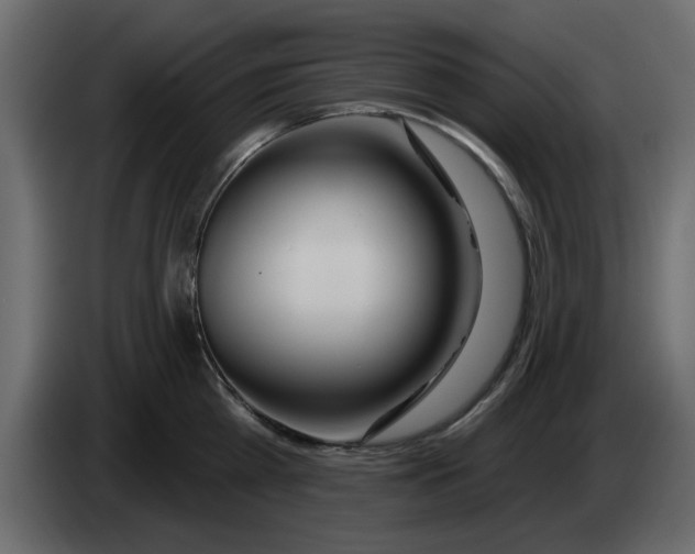 X0000083590809200703021843