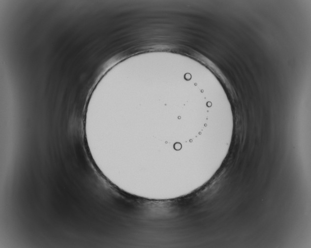 X0000083590810200703021843