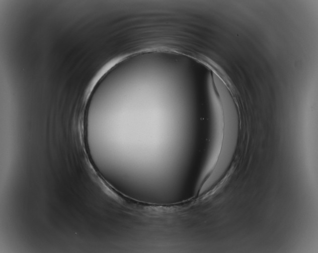 X0000083590812200703021843