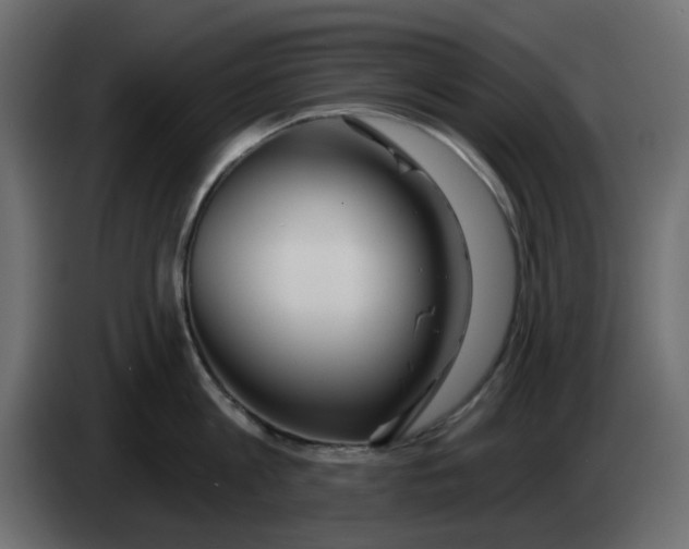 X0000083590813200703021843
