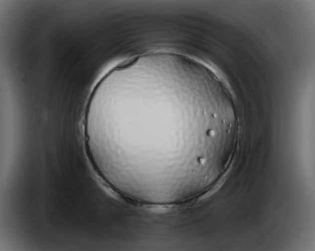 X0000083590814200703021843