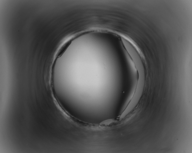 X0000083590815200703021843
