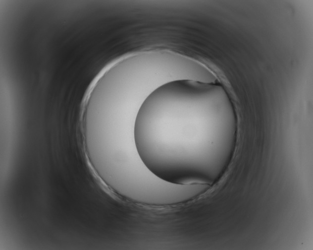 X0000083590816200703021843