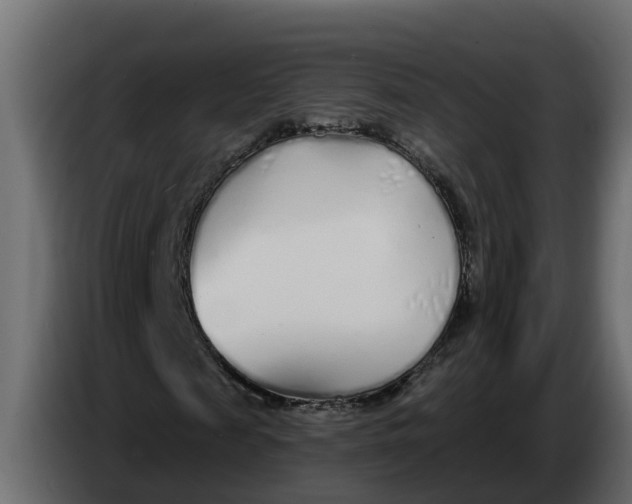 X0000083590817200703021842