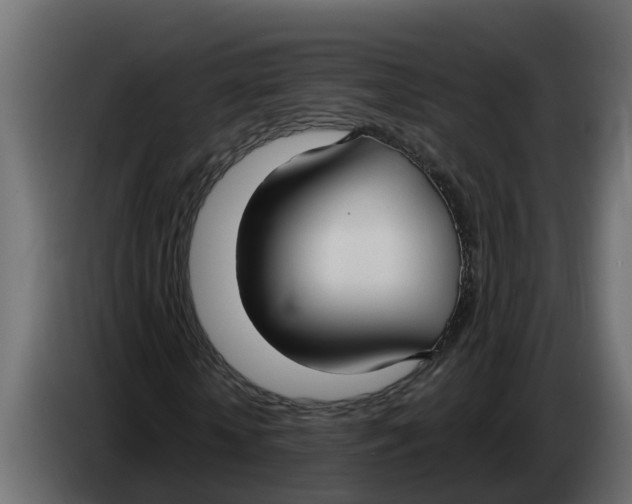 X0000083590818200703021842