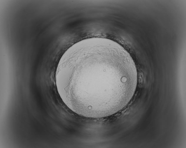 X0000083590820200703021842