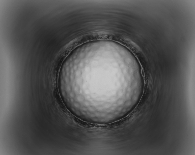 X0000083590821200703021842