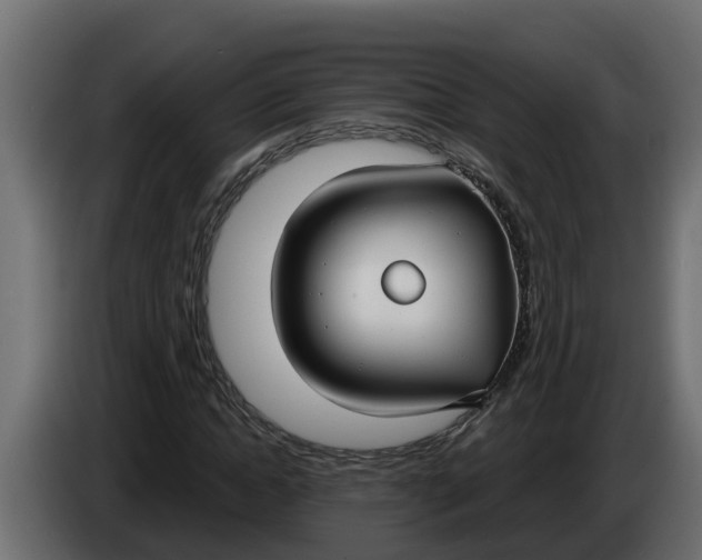 X0000083590822200703021842
