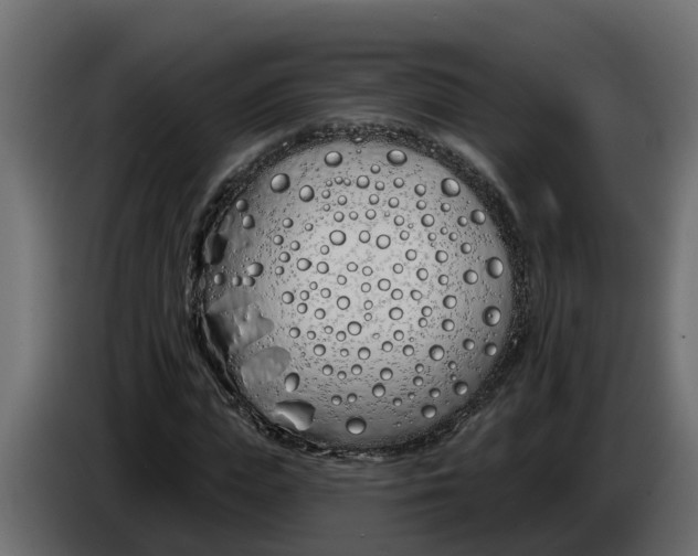 X0000083590823200703021842