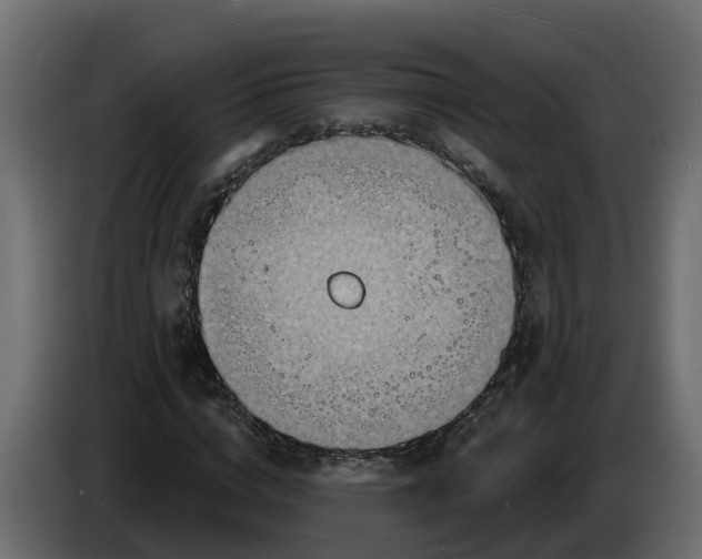 X0000083590824200703021842