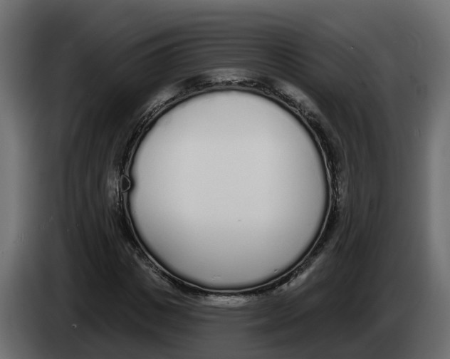 X0000083590825200703021842