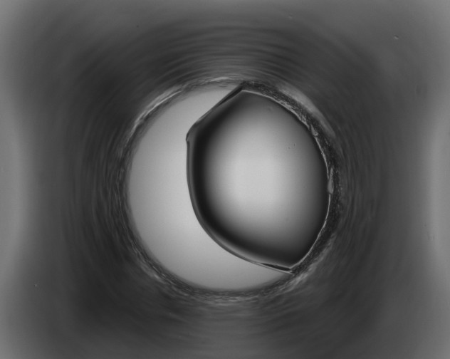 X0000083590826200703021842
